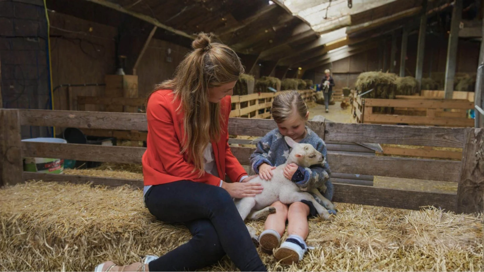 Kind knuffelt een lammetje in de stal van Schapenboerderij Texel